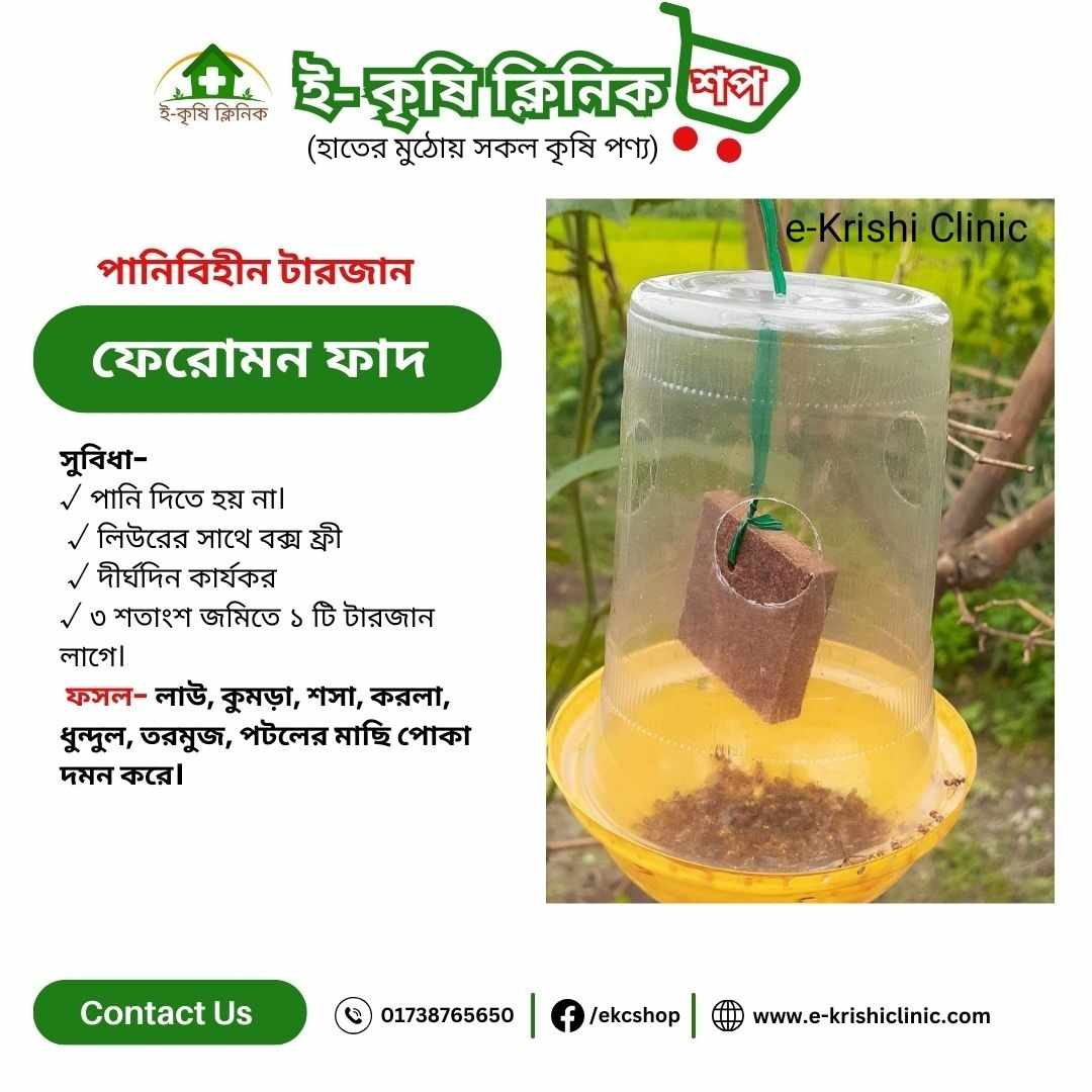 ফেরোমোন ফাঁদ 