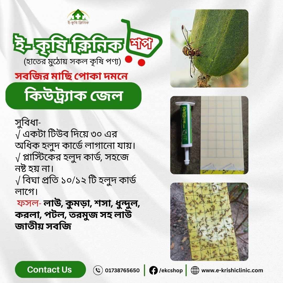 কিউট্র্যাক জেল